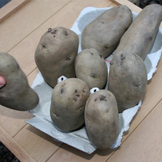 How to Grow Potatoes: Step 1 �Chitting�