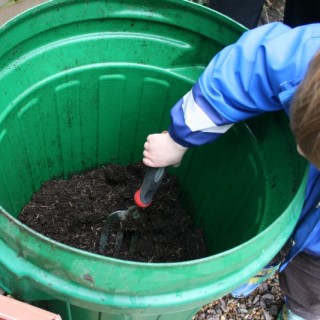 How to Grow Potatoes: Step 2 Planting