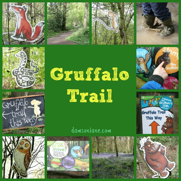 Forestry Commission Gruffalo Trail Wendover Woods