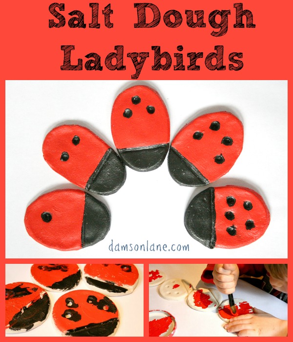 Salt Dough Ladybird Kids Craft